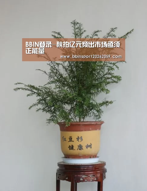 BBIN登录-秋拍亿元频出市场亟须正能量(图2) BBIN赛事