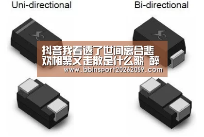 BBIN赛事