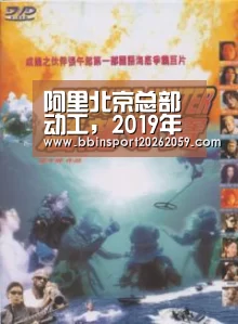 阿里北京总部动工,2019年Alibaba的表现如何?_BBIN赛事(图3) BBIN赛事