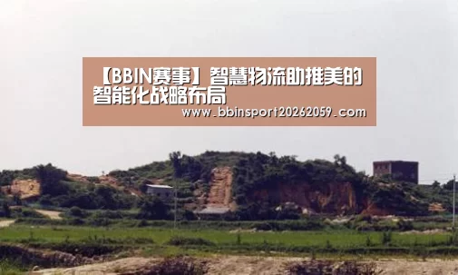 【BBIN赛事】智慧物流助推美的智能化战略布局(图2) BBIN登录