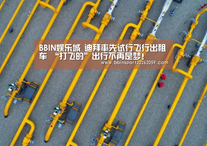 BBIN娱乐城_迪拜率先试行飞行出租车 “打飞的”出行不再是梦!(图4) BBIN登录