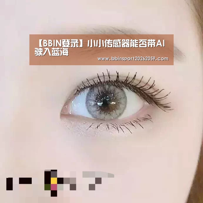 【BBIN登录】小小传感器能否带AI驶入蓝海(图3) BBIN赛事