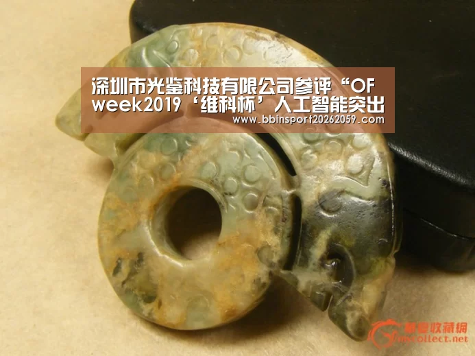 深圳市光鉴科技有限公司参评“OFweek2019‘维科杯’人工智能突出贡献人物奖”【BBIN电子】(图3) BBIN登录